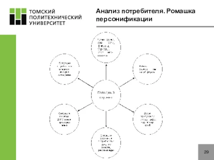 Анализ потребителя. Ромашка персонификации 29