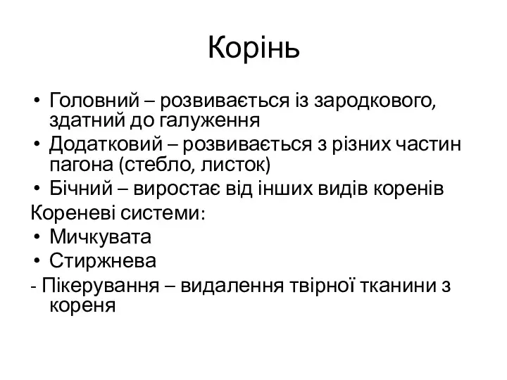 Корінь Головний – розвивається із зародкового, здатний до галуження Додатковий