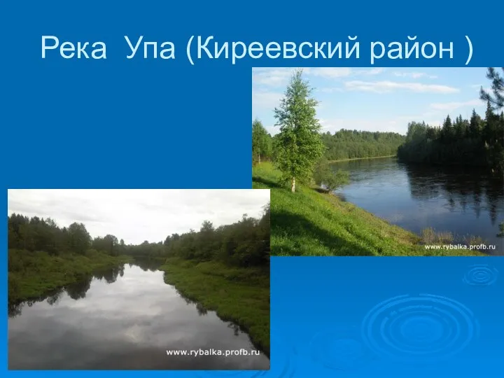 Река Упа (Киреевский район )