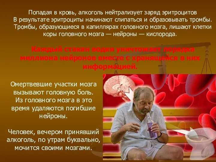 Попадая в кровь, алкоголь нейтрализует заряд эритроцитов В результате эритроциты