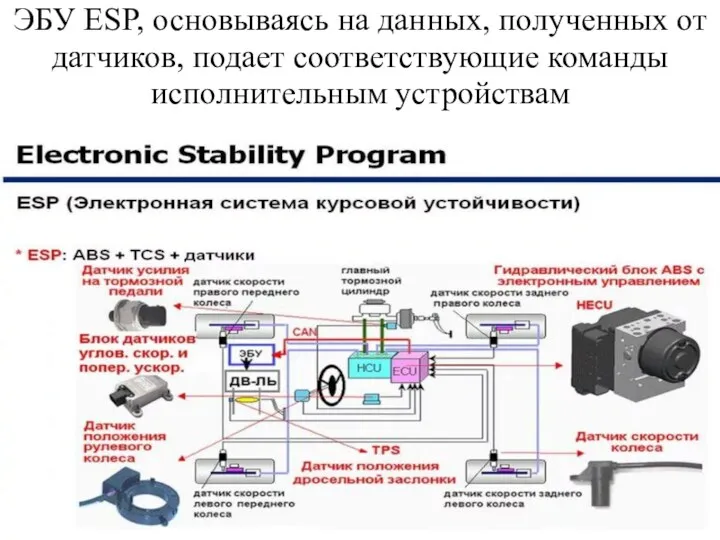 ЭБУ ESP, основываясь на данных, полученных от датчиков, подает соответствующие команды исполнительным устройствам