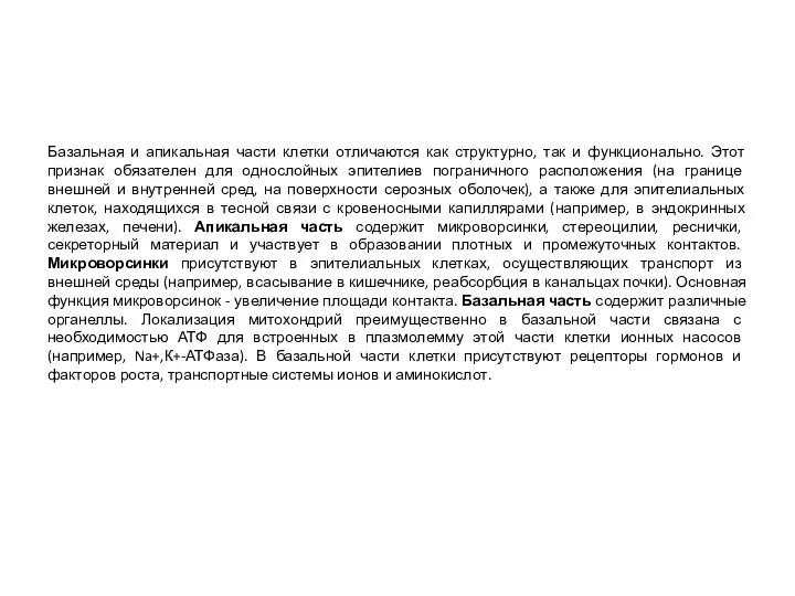 Базальная и апикальная части клетки отличаются как структурно, так и