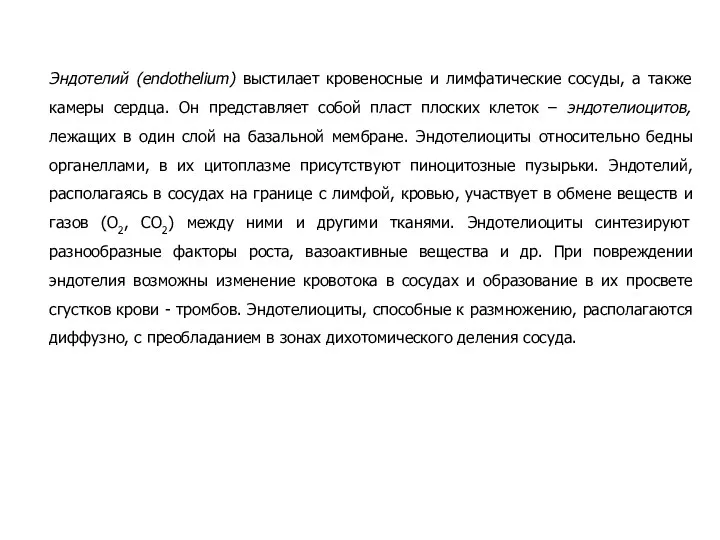 Эндотелий (endothelium) выстилает кровеносные и лимфатические сосуды, а также камеры