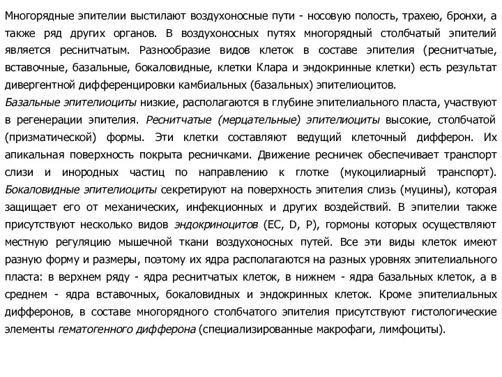 Многорядные эпителии выстилают воздухоносные пути - носовую полость, трахею, бронхи,