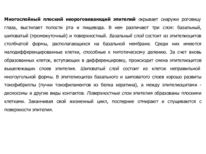 Многослойный плоский неороговевающий эпителий окрывает снаружи роговицу глаза, выстилает полости