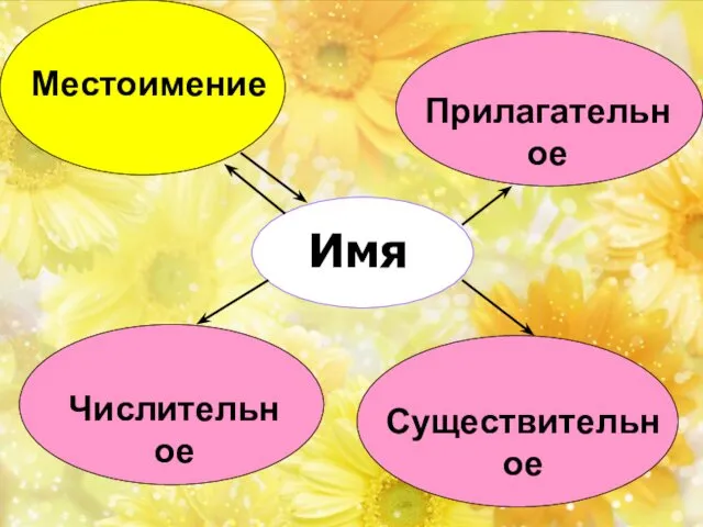 Имя Существительное Прилагательное Числительное Местоимение