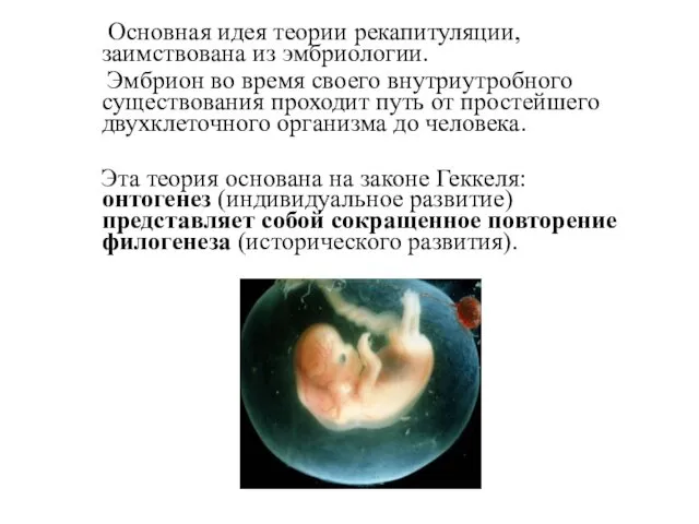 Основная идея теории рекапитуляции, заимствована из эмбриологии. Эмбрион во время
