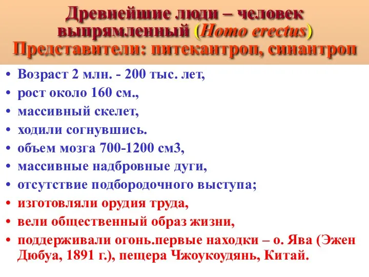 Древнейшие люди – человек выпрямленный (Homo erectus) Представители: питекантроп, синантроп