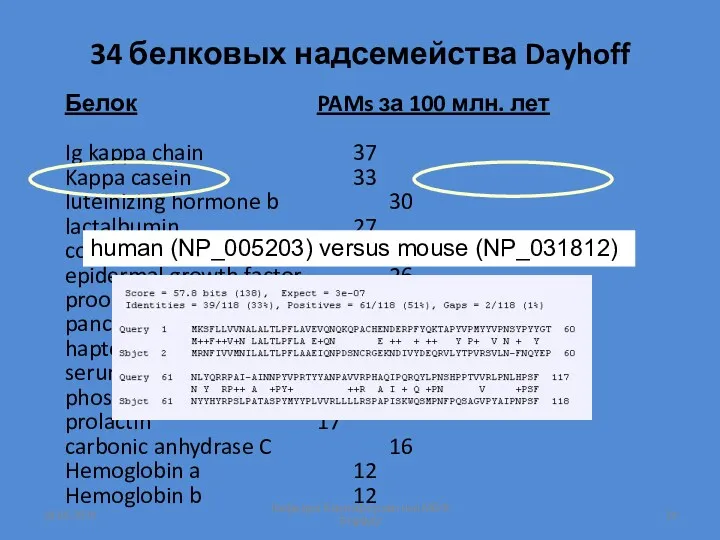 34 белковых надсемейства Dayhoff 18.09.2019 Кафедра биоинформатики МБФ РНИМУ Белок PAMs за 100