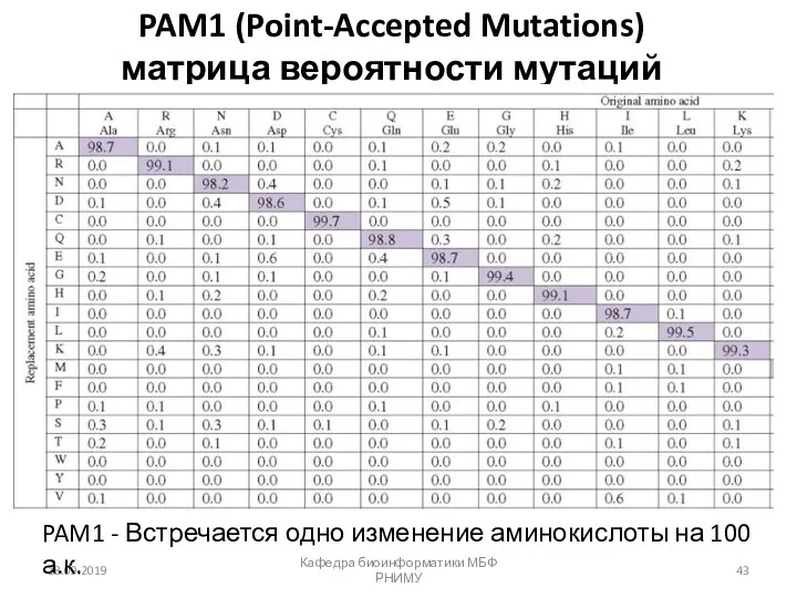 PAM1 (Point-Accepted Mutations) матрица вероятности мутаций 18.09.2019 Кафедра биоинформатики МБФ РНИМУ PAM1 -