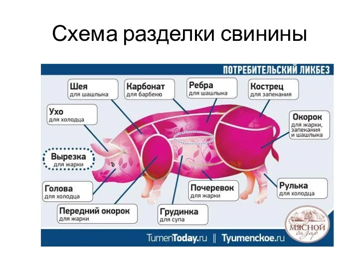 Схема разделки свинины