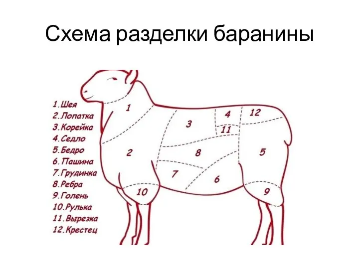 Схема разделки баранины