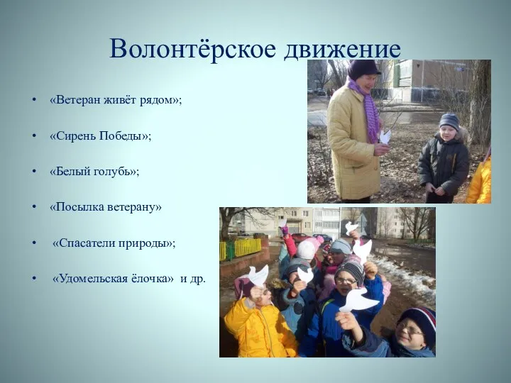 Волонтёрское движение «Ветеран живёт рядом»; «Сирень Победы»; «Белый голубь»; «Посылка