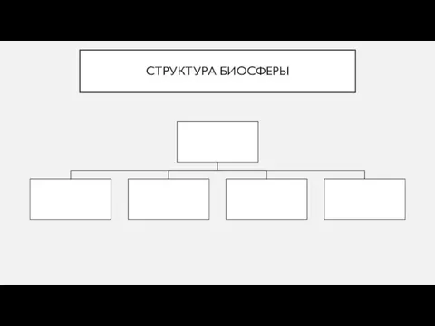 СТРУКТУРА БИОСФЕРЫ