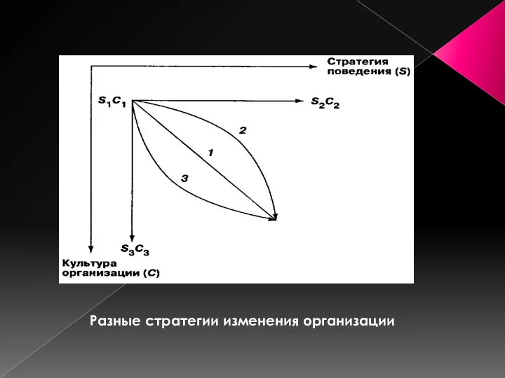 Разные стратегии изменения организации