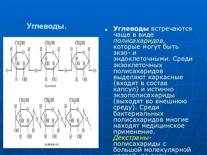 Углеводы. Углеводы встречаются чаще в виде полисахаридов, которые могут быть