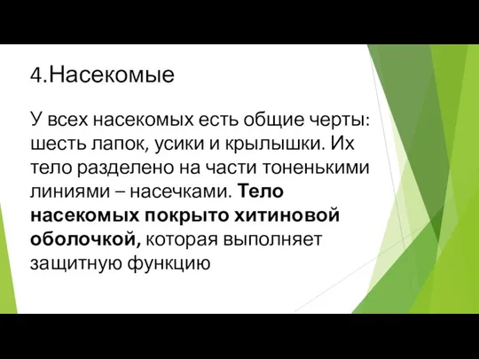 4.Насекомые У всех насекомых есть общие черты: шесть лапок, усики