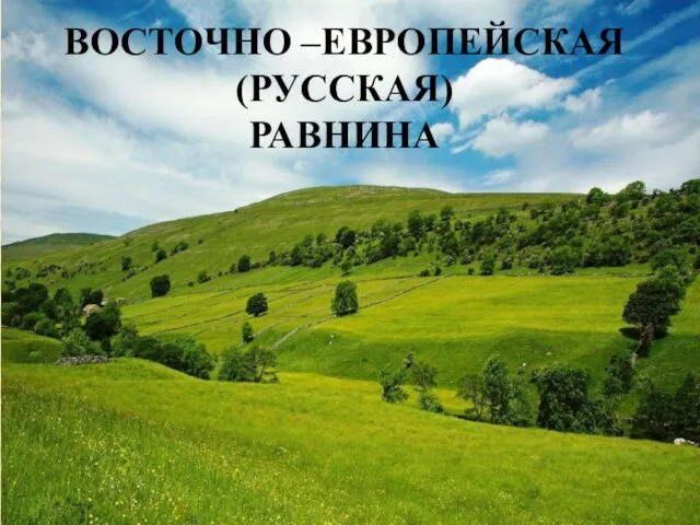 Восточно – европейская (Русская) равнина