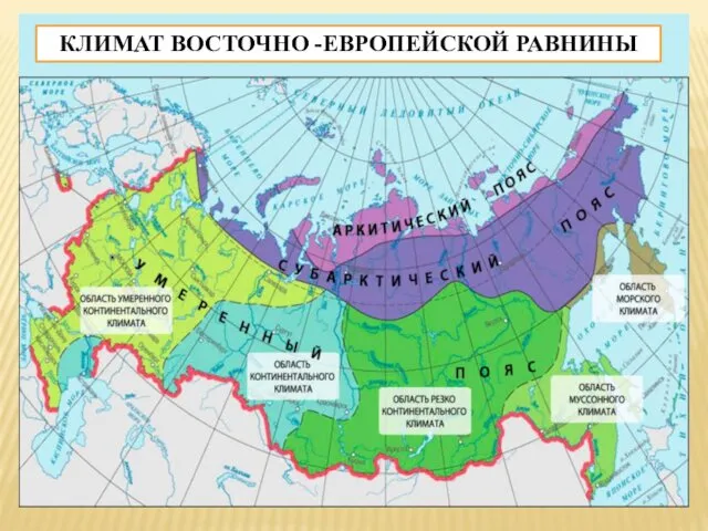 КЛИМАТ ВОСТОЧНО -ЕВРОПЕЙСКОЙ РАВНИНЫ