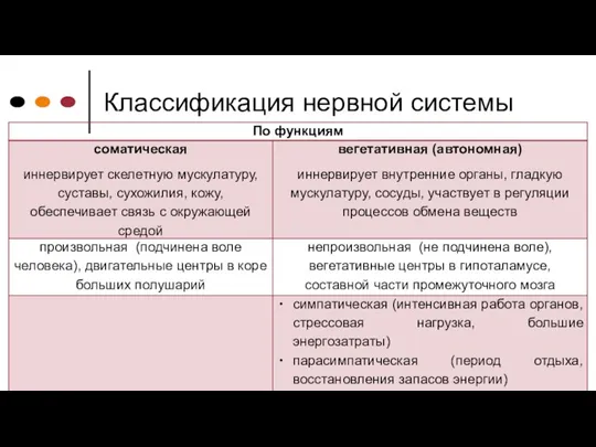 Классификация нервной системы