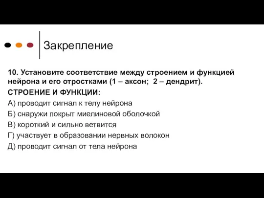 Закрепление 10. Установите соответствие между строением и функцией нейрона и