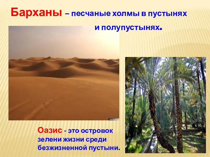 Барханы – песчаные холмы в пустынях и полупустынях. Оазис -