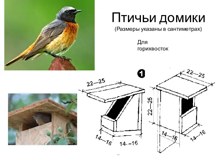 Птичьи домики (Размеры указаны в сантиметрах) Для горихвосток