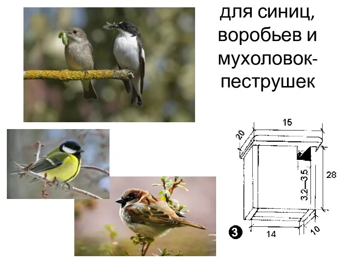 для синиц, воробьев и мухоловок-пеструшек