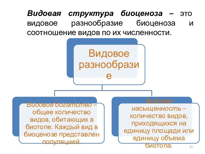 Видовая структура биоценоза – это видовое разнообразие биоценоза и соотношение видов по их численности.