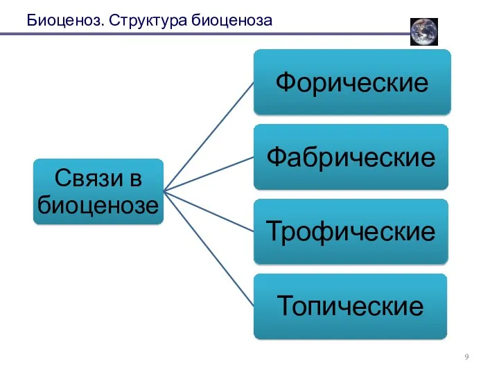 Биоценоз. Структура биоценоза