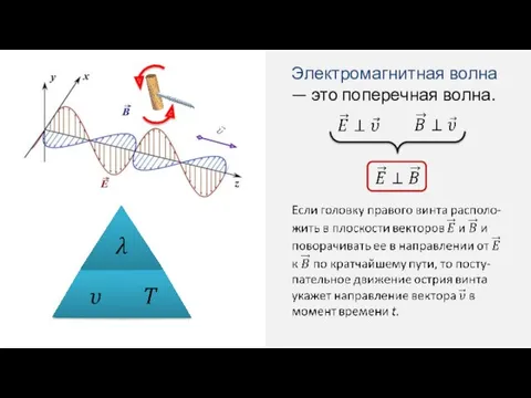 Электромагнитная волна — это поперечная волна.