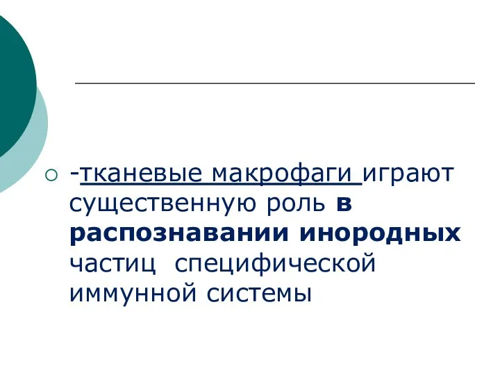 -тканевые макрофаги играют существенную роль в распознавании инородных частиц специфической иммунной системы