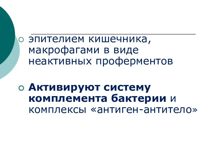 эпителием кишечника, макрофагами в виде неактивных проферментов Активируют систему комплемента бактерии и комплексы «антиген-антитело»