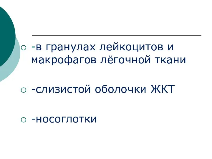 -в гранулах лейкоцитов и макрофагов лёгочной ткани -слизистой оболочки ЖКТ -носоглотки