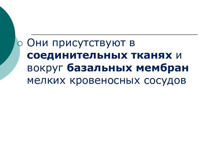 Они присутствуют в соединительных тканях и вокруг базальных мембран мелких кровеносных сосудов