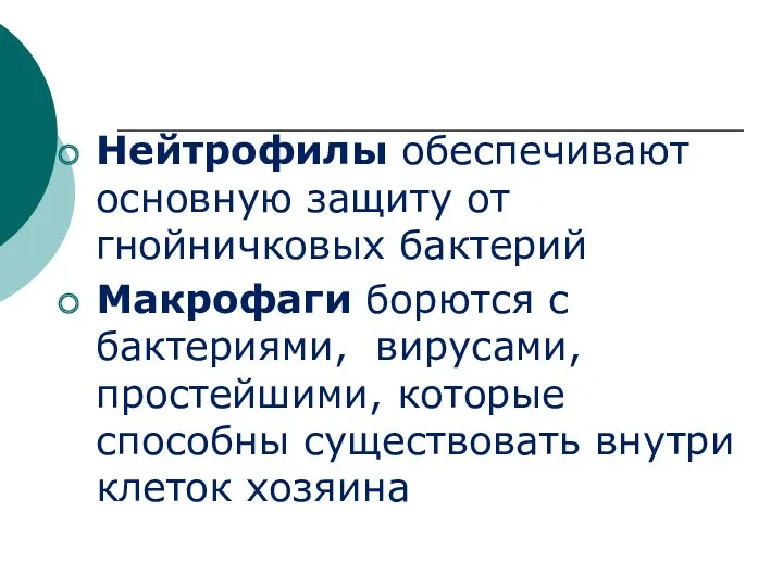 Нейтрофилы обеспечивают основную защиту от гнойничковых бактерий Макрофаги борются с бактериями, вирусами, простейшими,