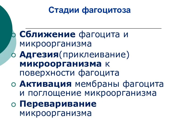 Стадии фагоцитоза Сближение фагоцита и микроорганизма Адгезия(приклеивание) микроорганизма к поверхности