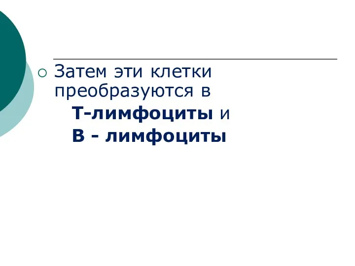 Затем эти клетки преобразуются в Т-лимфоциты и В - лимфоциты