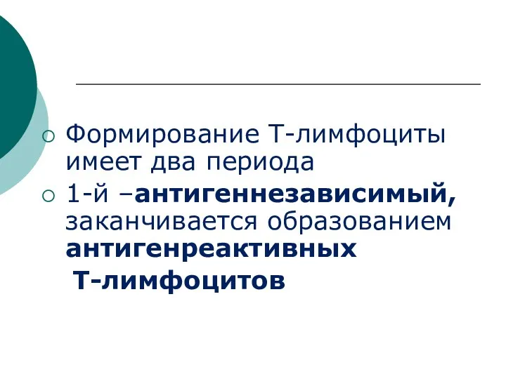 Формирование Т-лимфоциты имеет два периода 1-й –антигеннезависимый, заканчивается образованием антигенреактивных Т-лимфоцитов