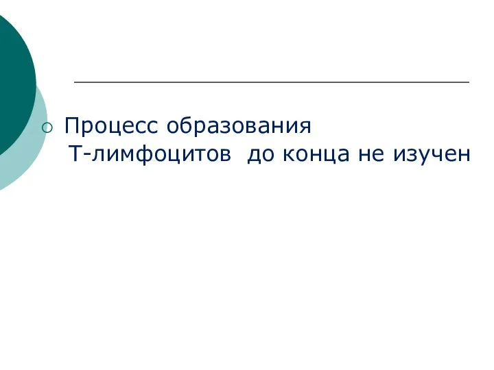 Процесс образования Т-лимфоцитов до конца не изучен