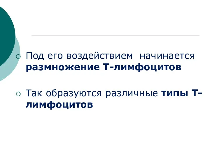 Под его воздействием начинается размножение Т-лимфоцитов Так образуются различные типы Т-лимфоцитов