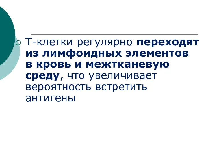 Т-клетки регулярно переходят из лимфоидных элементов в кровь и межтканевую среду, что увеличивает вероятность встретить антигены