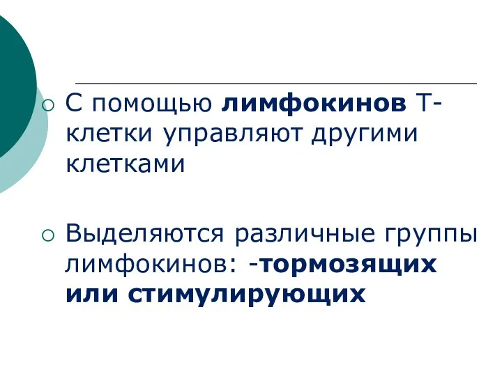 С помощью лимфокинов Т-клетки управляют другими клетками Выделяются различные группы лимфокинов: -тормозящих или стимулирующих