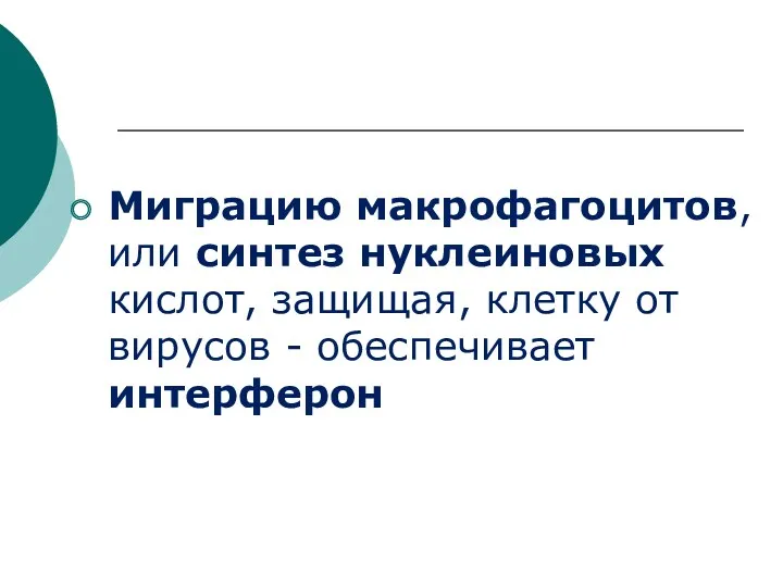 Миграцию макрофагоцитов, или синтез нуклеиновых кислот, защищая, клетку от вирусов - обеспечивает интерферон