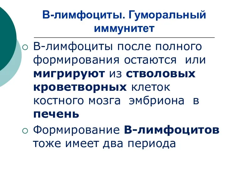 В-лимфоциты. Гуморальный иммунитет В-лимфоциты после полного формирования остаются или мигрируют