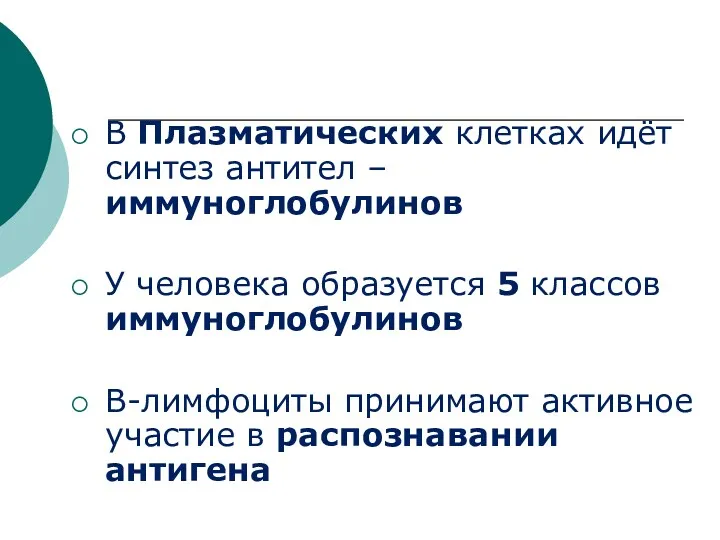 В Плазматических клетках идёт синтез антител – иммуноглобулинов У человека образуется 5 классов