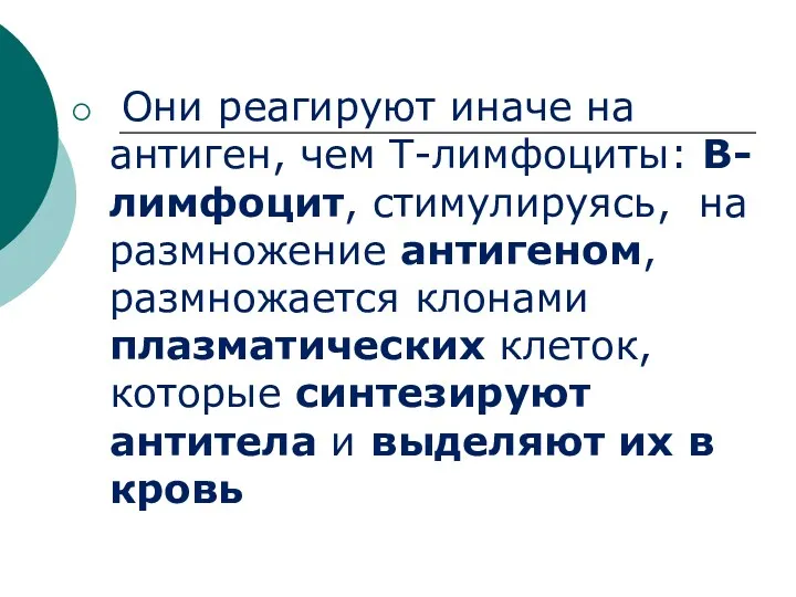 Они реагируют иначе на антиген, чем Т-лимфоциты: В-лимфоцит, стимулируясь, на