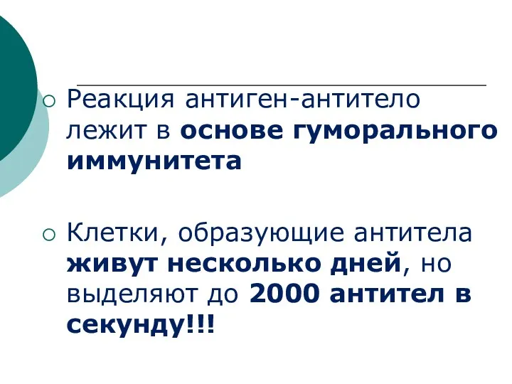 Реакция антиген-антитело лежит в основе гуморального иммунитета Клетки, образующие антитела живут несколько дней,