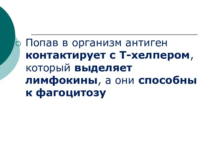 Попав в организм антиген контактирует с Т-хелпером, который выделяет лимфокины, а они способны к фагоцитозу