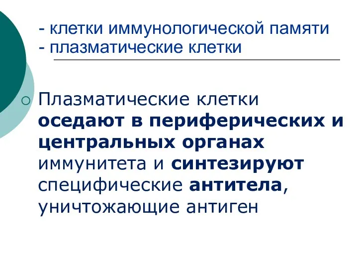 - клетки иммунологической памяти - плазматические клетки Плазматические клетки оседают